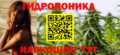 ешки Новозыбков