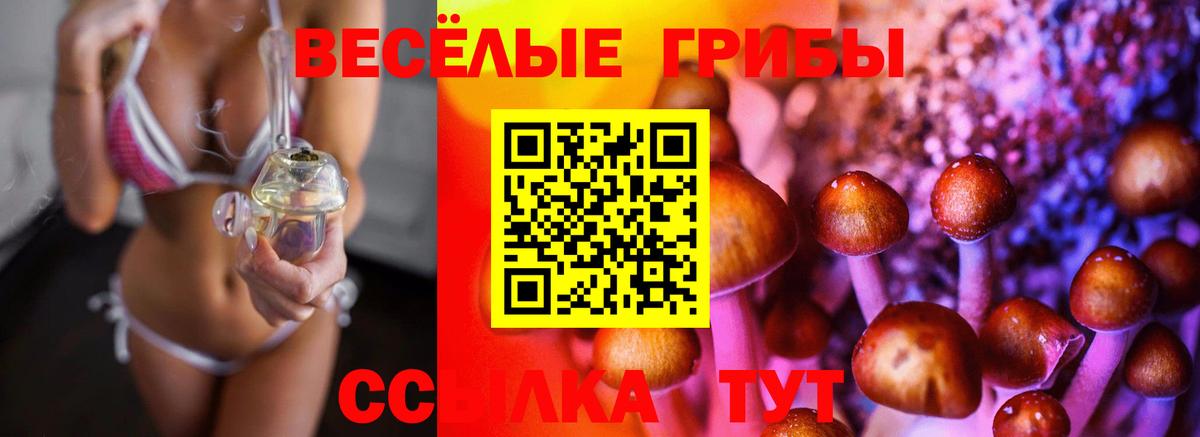 Строитель  Псилоцибиновые грибы Psilocybe  Галлюциногенные грибы Magic Shrooms  Вход с VPN 